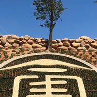 合豐農場有機蔬果（汐遠）