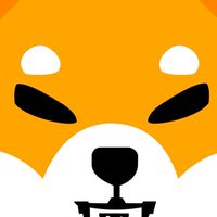 AKITA & SHIBA โปรเจ็ค 6 เดือน