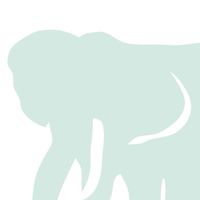 そうじじしきじ・にほんごきょうしつ