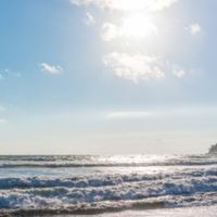 鎌倉国際交流(Kamakura international language exchange)