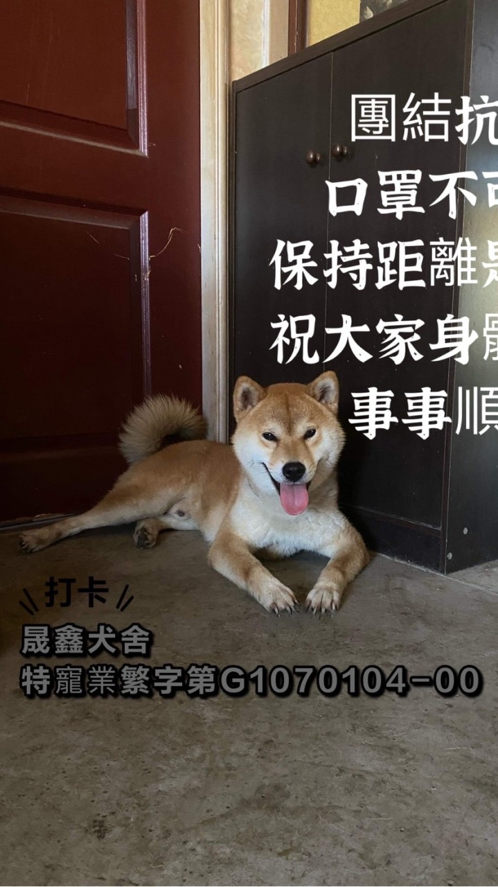 晟鑫犬舍