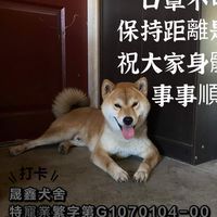 晟鑫犬舍