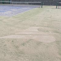 蒼開 TENNIS TEAM