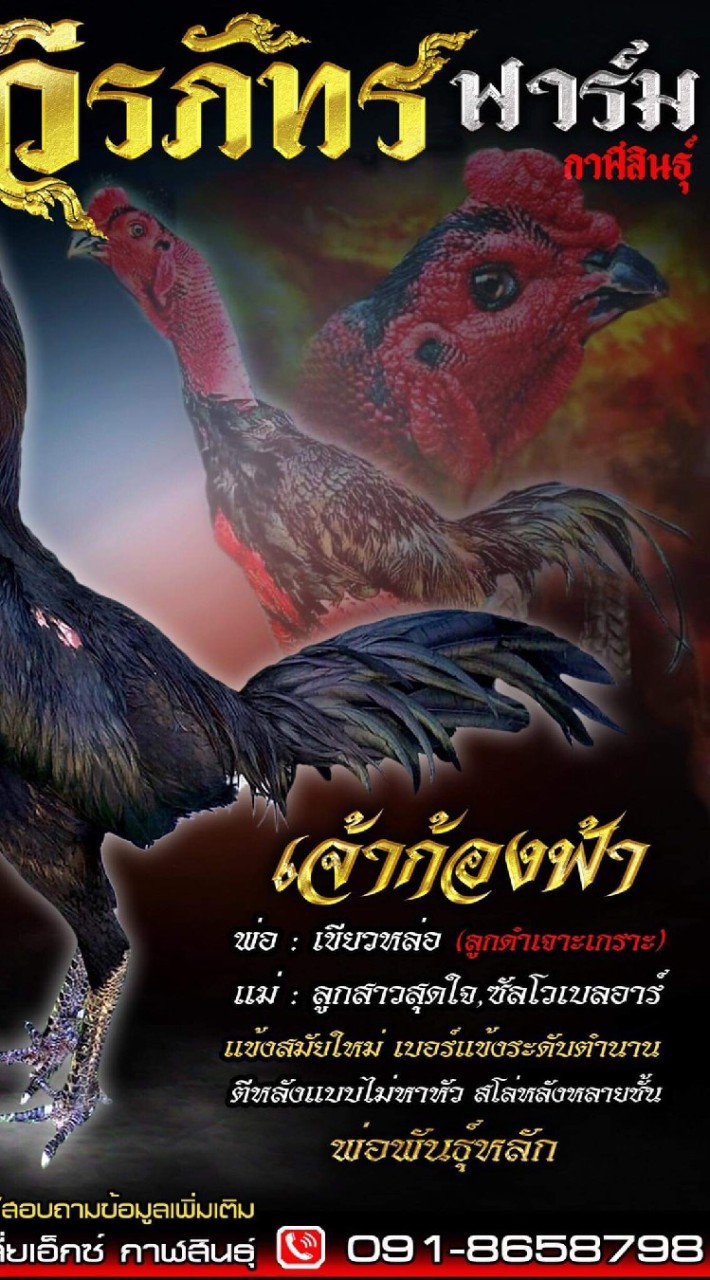 ซุ้มวีรภัทรฟาร์ม กาฬสินธุ์