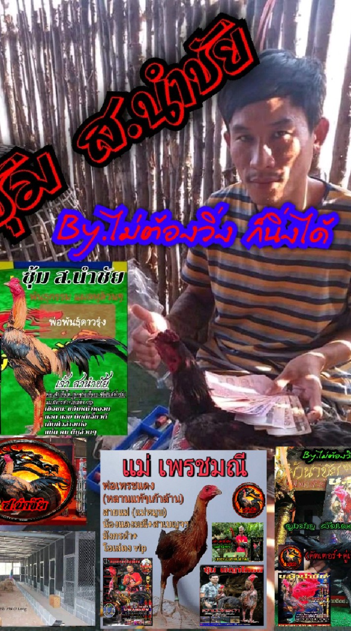 ซุ้ม ส.นำชัย พัฒนาพม่าเบอร์แข้ง ( สังกัด ส.ดาวร้าย )