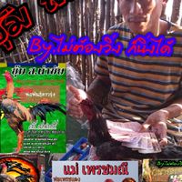 ซุ้ม ส.นำชัย พัฒนาพม่าเบอร์แข้ง ( สังกัด ส.ดาวร้าย )