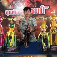 ส.หงส์ทองฟาร์ม