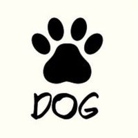 ⸜🐾⸝‍愛犬家のお部屋 in 愛媛県⸜🍊⸝‍
