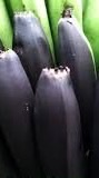 なんでもありのオプチャ