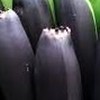なんでもありのオプチャ