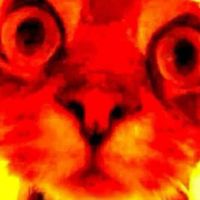 มีม