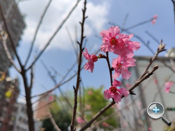 IMG20200316114147.jpg IMG20200316114147.jpg