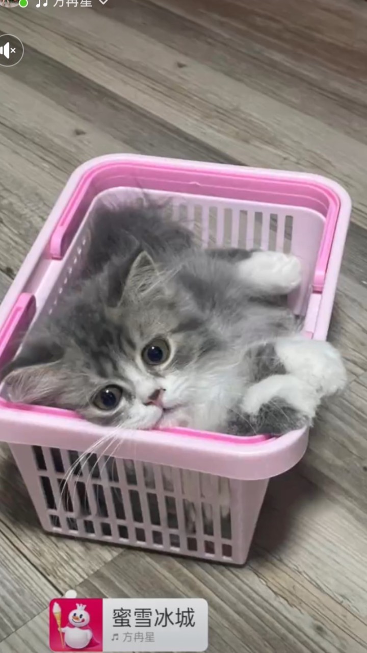 ของแถมร้านนีนคนสวย