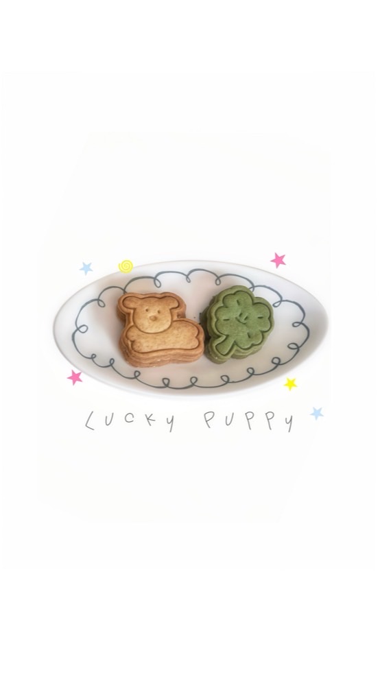 lucky puppy ⋆.˚𖦹 偶像周邊 ☘︎ 娃衣代購