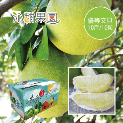 沁甜果園SSN 花蓮瑞穗優等文旦(10顆裝/10台斤)