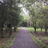 經典學習