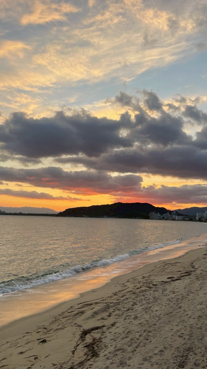 Checori Community🌿