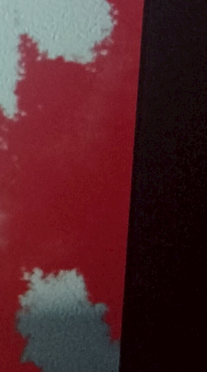 หาคนเล่น gut and blackpowder