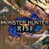 🔰🔰今更モンハンライズ🔰🔰Switch🎮初心者🔰