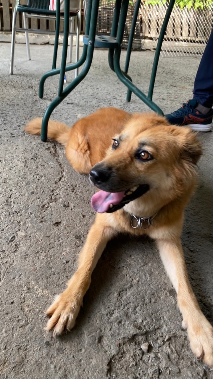 介壽公園附近區域找妮妮