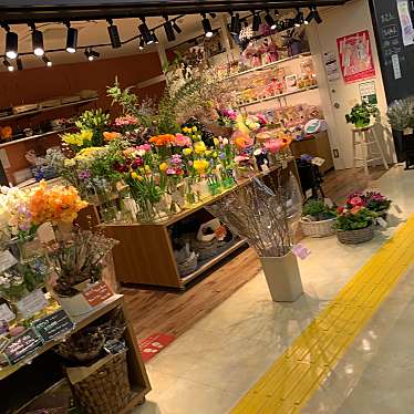 フルール メサージュ ふじみ野店 フルール メサージュ フジミノテンフジミ ふじみ野西 ふじみ野駅 フラワーショップ By Line Place