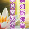 快樂生活身心靈健康