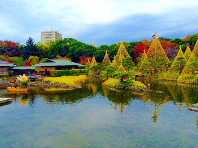 名古屋紅葉 秋天賞楓趣 不只名古屋 一次網羅愛知縣及日本中部楓葉名所 Compathy Magazine Line Today