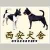 西安犬舍台灣犬俱樂部特寵業繁字第G1070103號