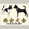 西安犬舍台灣犬俱樂部特寵業繁字第G1070103號