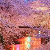 天堂一家親