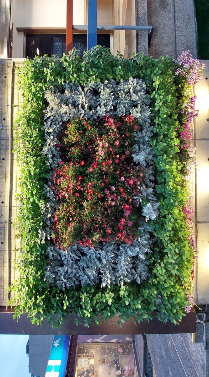 Andrew 的空中花園