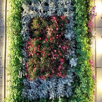 Andrew 的空中花園