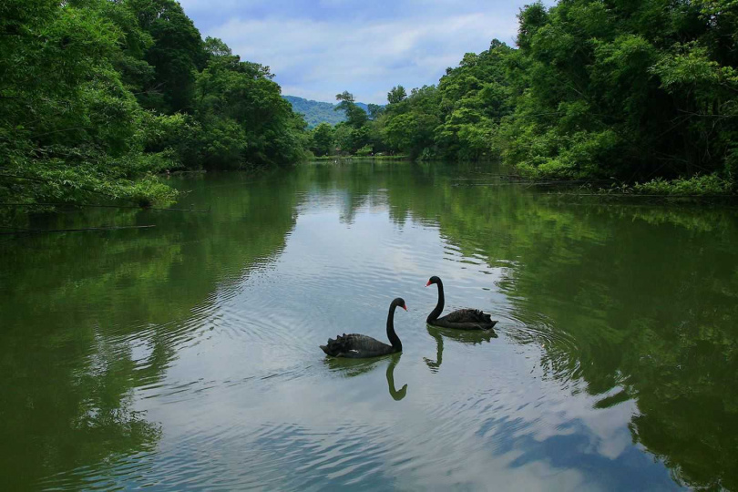 農場腹地廣大，有青山綠水相伴。