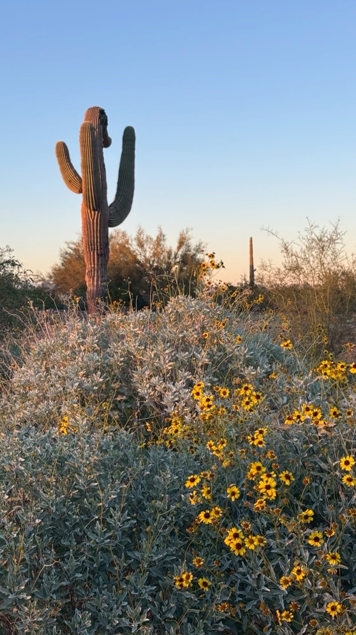 🇺🇸Chanjie.y美國代購 四月初回台