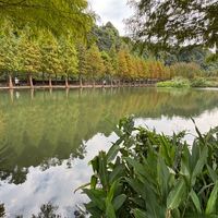 三芝房屋買賣租賃討論