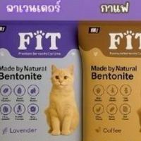 ตลาดทรายแมวเบนโทไนท์ ราคาส่ง