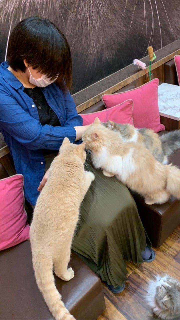 かまちょ部屋のオープンチャット
