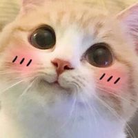 綠茶俱樂部
