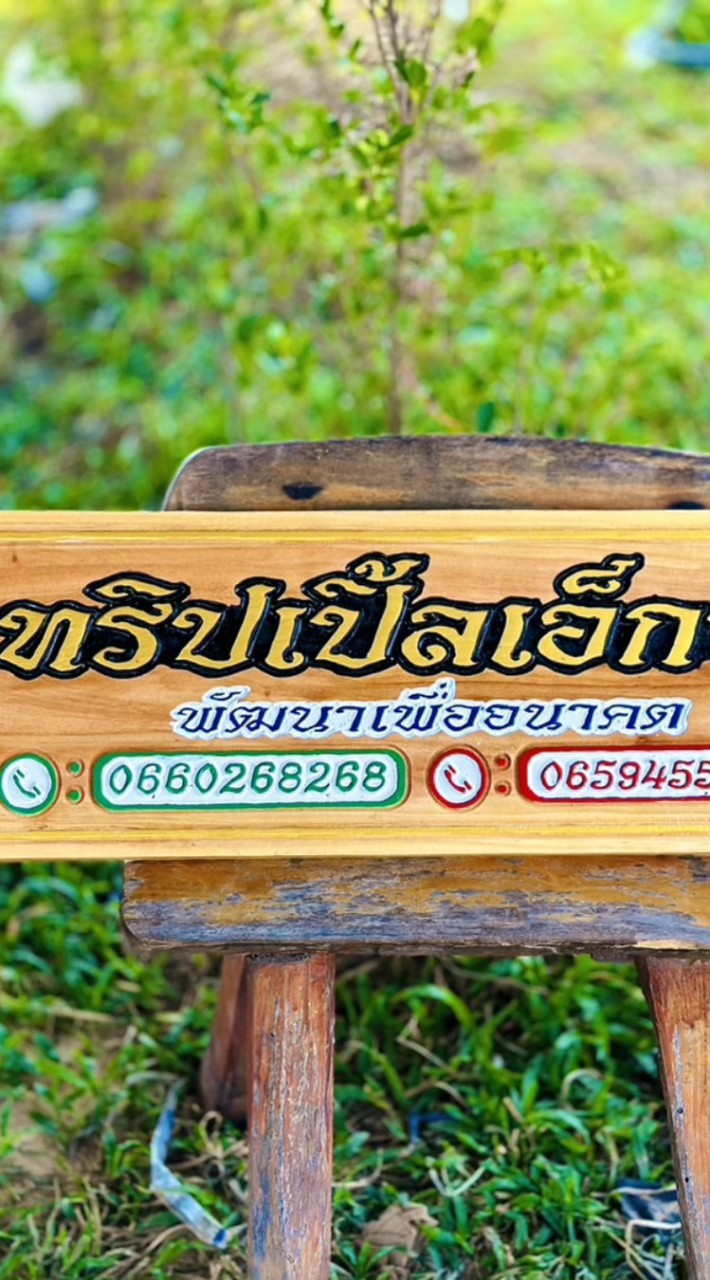 ไก่ชน ทริปเปิ้ลเอ็กซ์ (❌️❌️❌️)