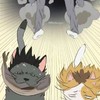 ハイキューキャラ推し集合〜！