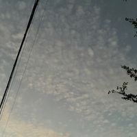 いれいす語ろうの会