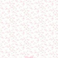 ╰࡛֯𓏼𓋭݁ 𝕕un 𓈒 𝚊𝚌𝚌 ܒ𓈒ׁ♥ᡃ𓂂ּ⠀