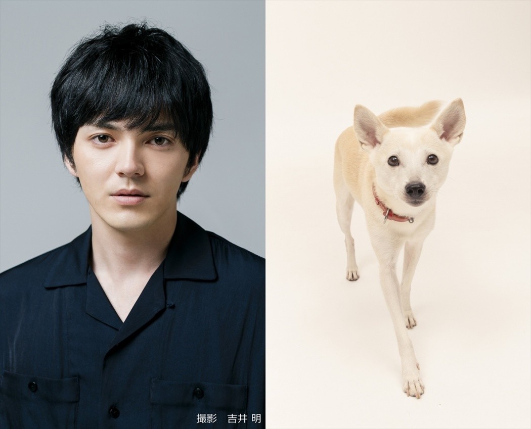 林遣都と中川大志が 犬バカ 役で動物たちの命と向き合う 映画 犬部 公開決定