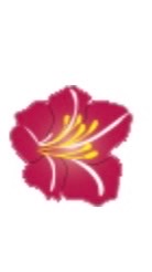KCRS    幹事　連絡網2024