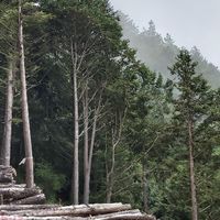 樂天派🍁愛旅行 遊覽車大中小巴 郊遊🌿看花🌼賞景🍂爬山🏞️健行🐦走古道