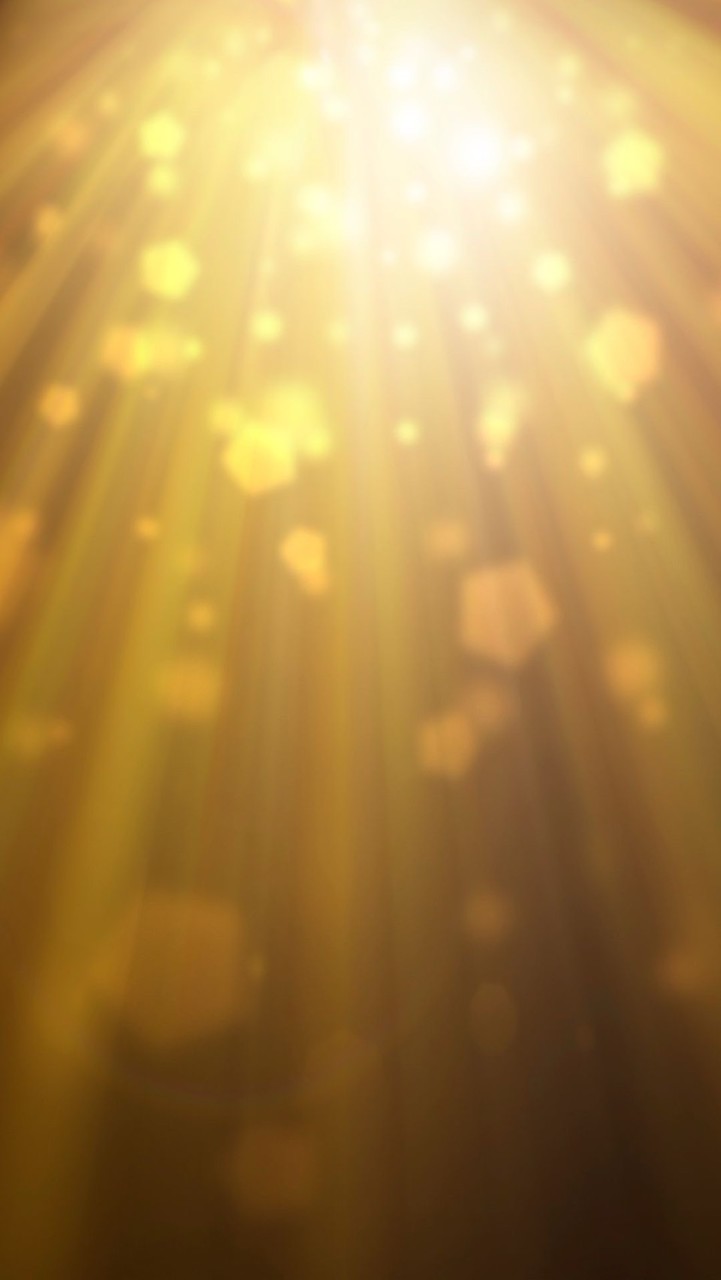 成功するための量子力学✨本当の引き寄せの法則🌞