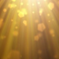 成功するための量子力学✨本当の引き寄せの法則🌞