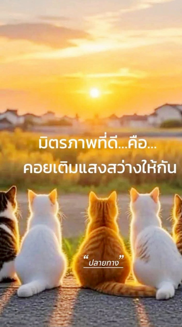 30+++60++คุยได้ จีบได้ ถ้าจีบติด(ห้ามตีกัน)รางวัลชีวิต(พรหมลิขิต)