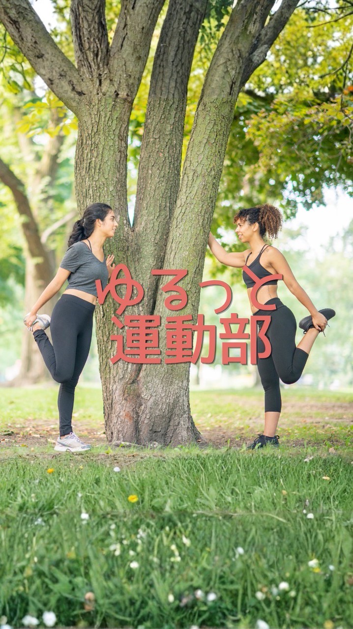 ゆるっと運動部