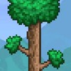 Terraria Thailand